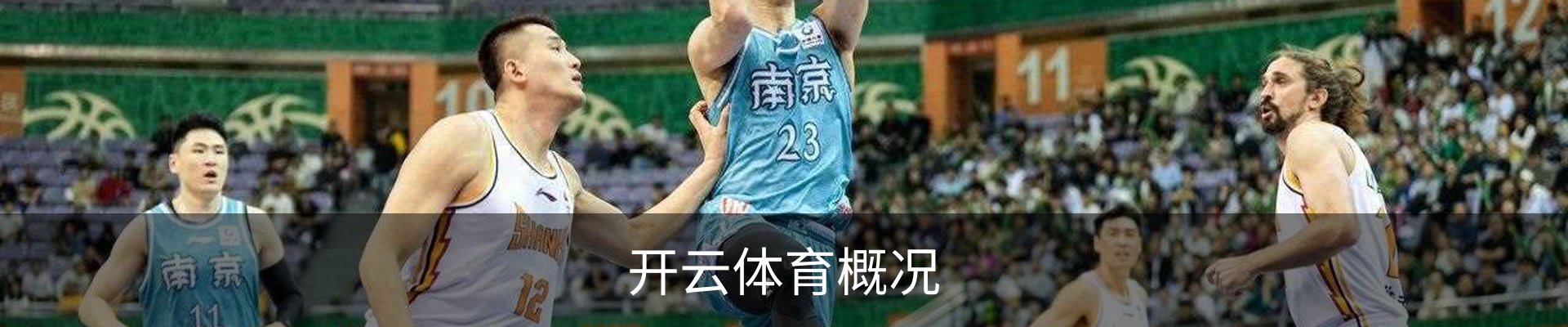 开云体育概况